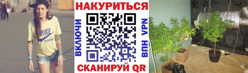 Канабис Киржач