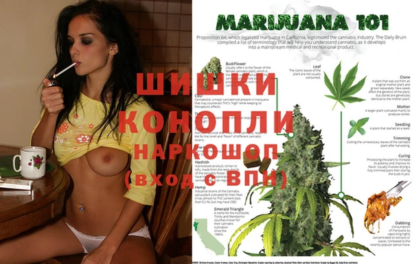 хмурый Алзамай