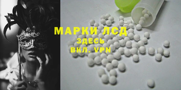 хмурый Алзамай