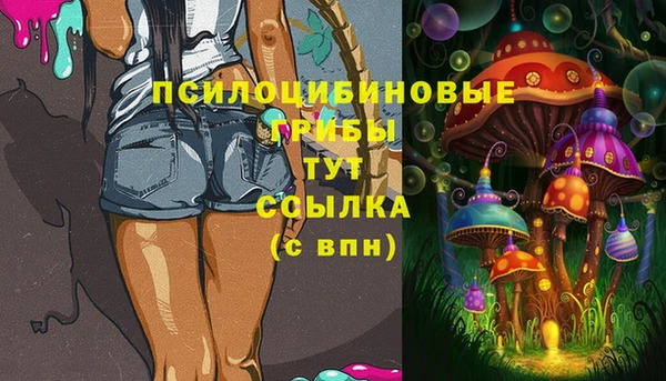 хмурый Алзамай
