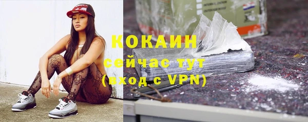 хмурый Алзамай