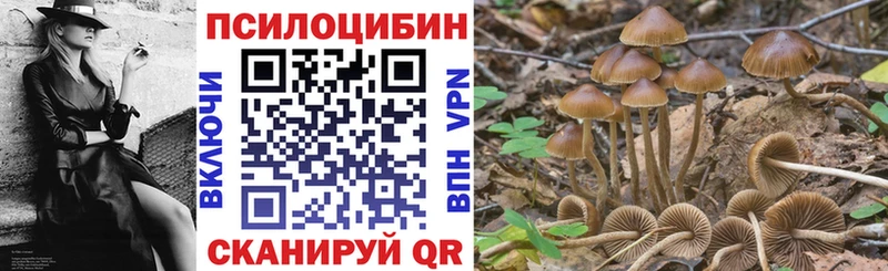 даркнет сайт  Киржач  Псилоцибиновые грибы Psilocybe 